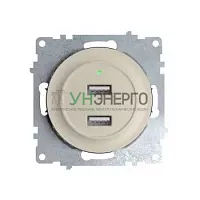 Розетка USB 2-м СП Florence 16А IP20 с подсветкой механизм беж. (1E10351301) OneKeyElectro 2260090