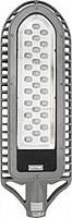 уличный светодиодный светильник 30LED/1W  AC90-265V серебро (IP65), SP2550 12128