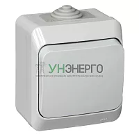 Выключатель 1-кл. ОП Этюд 10А IP44 10AX сер. SE BA10-041C