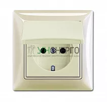 Розетка 1-м СП Basic 55 16А IP44 250В Schuko в сборе сл. кость ABB 2CKA002018A1504