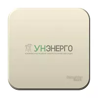 Выключатель 1-кл. ОП Blanca 10А IP20 (сх. 1) 250В с изолир. пластиной молочн. SE BLNVA101012