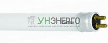 Лампа люминесцентная FT4-16W/54 16Вт T4 6500К G5 Camelion 3372