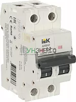 Выключатель автоматический модульный 2п C 2А M06N ARMAT IEK AR-M06N-2-C002