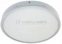 Светильник накладной 120 LED, 24W, 1920Lm, белый (4000К), AL506 27933