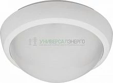 Светильник пылевлагозащищённый  24LED, 12W, 4000K, в пласт. корпусе с датчиком, IP54, AL3004 28730