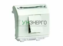 Розетка компьютерная СП 2мод. Brava RJ45 кат.6A сл. кость DKC 75679S