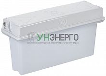 Светильник светодиодный ССА1010 3ч IP65 аварийный универс. IEK LSSA1-1010-3-65-K01 Светильник светодиодный ССА1010 3ч IP65 аварийный универс. IEK LSSA1-1010-3-65-K01