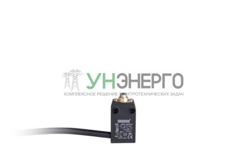Выключатель концевой L66K13PUM211 EMAS L66K13PUM211