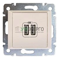 Розетка USB 2-м СП Valena механизм сл. кость (DIY-упак.) IEK 694372