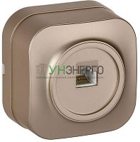 Розетка компьютерная ОП RJ45 кат.5E GLORY РК10-ХШм шампань матов. IEK EKH10-K37M Розетка компьютерная ОП RJ45 кат.5E GLORY РК10-ХШм шампань матов. IEK EKH10-K37M