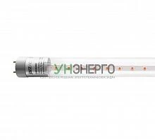 Лампа светодиодная PLED T8-600 PPG Agro 8Вт T8 линейная G13 CL для растений красн./син. спектр JazzWay 5025899