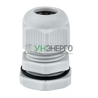 Сальник PG13.5 d6-12мм (d отверст. 21мм) IP54 PROxima EKF plc-pg-13.5-r Сальник PG13.5 d6-12мм (d отверст. 21мм) IP54 PROxima EKF plc-pg-13.5-r