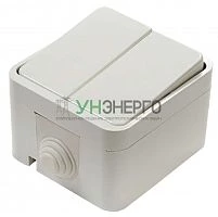 Выключатель 2-кл. ОП Aqua 3200 10А IP44 п/герм. бел. ASD / IN HOME 4690612000435 Выключатель 2-кл. ОП Aqua 3200 10А IP44 п/герм. бел. ASD / IN HOME 4690612000435