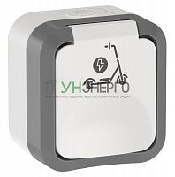 Розетка 1-м ОП TORS 16А IP55 TS321 с заземл. защ. шторки с крышкой с иконкой самокат сер./бел. IEK TS-R110-16-55-K41