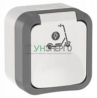 Розетка 1-м ОП TORS 16А IP55 TS321 с заземл. защ. шторки с крышкой с иконкой самокат сер./бел. IEK TS-R110-16-55-K41 Розетка 1-м ОП TORS 16А IP55 TS321 с заземл. защ. шторки с крышкой с иконкой самокат сер./бел. IEK TS-R110-16-55-K41