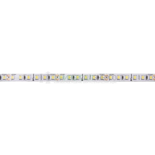 Светодиодная LED лента Feron LS502, 180SMD(2835)/м 16Вт/м 24V 5000*10*1.22мм 6000К 41529 фото 2
