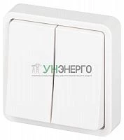 Выключатель Эксперт 11-1524-01 двойн. IP55 10АХ-250В СУ бел. Эра Б0063271 Выключатель Эксперт 11-1524-01 двойн. IP55 10АХ-250В СУ бел. Эра Б0063271