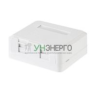 Корпус настенной розетки под 2 модуля Keystone Jack бел. Rexant 03-0251