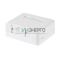 Корпус настенной розетки под 2 модуля Keystone Jack бел. Rexant 03-0251 Корпус настенной розетки под 2 модуля Keystone Jack бел. Rexant 03-0251