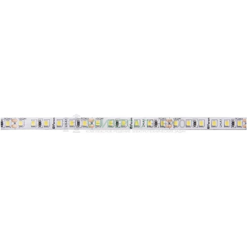 Светодиодная LED лента Feron LS502, 180SMD(2835)/м 16Вт/м 24V 5000*10*1.22мм 4000К 41528 фото 2