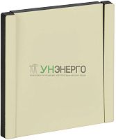 Выключатель 1-кл. СП FORTE&PIANO 10А FP810M с самовозвратом сл. кость IEK FP-V14-0-10-1-M-K41 Выключатель 1-кл. СП FORTE&PIANO 10А FP810M с самовозвратом сл. кость IEK FP-V14-0-10-1-M-K41