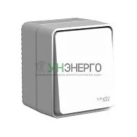 Переключатель проходной 1-кл. ОП AtlasDesign PROFI IP54 10АХ сер. SE ATN543061