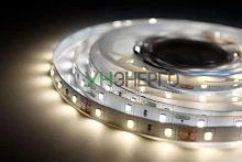 Лента светодиодная DSL-008 2835-60D IP20 4000К (уп.3м) Camelion 15694 Лента светодиодная DSL-008 2835-60D IP20 4000К (уп.3м) Camelion 15694