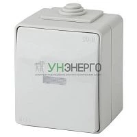 Переключатель 1-кл. ОП Эра Эксперт 10А IP65 11-1610-03 250В 10AX с подсветкой сер. Эра Б0035981 Переключатель 1-кл. ОП Эра Эксперт 10А IP65 11-1610-03 250В 10AX с подсветкой сер. Эра Б0035981
