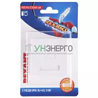 Розетка сетевая LAN на стену 2 гнездо 8Р8С (RJ-45) 5кат. Rexant 06-0105-C