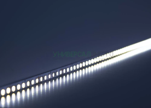 Светодиодная LED лента Feron LS501, 120SMD(2835)/м 11Вт/м 24V 5000*8*1.22мм 6000К 41058
