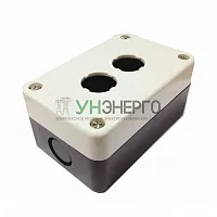 Корпус для кнопок NP2 2 места NP2-B02 CHINT 574885