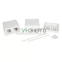 Розетка универсальная 2 порта для модулей Keystone (для модулей форм-фактора A10) DKC RNW2WH Розетка универсальная 2 порта для модулей Keystone (для модулей форм-фактора A10) DKC RNW2WH