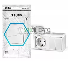 Блок ОП Dita (розетка 16А 250В с заземл. + 2-кл. выкл. 10А) IP54 бел. TOKOV ELECTRIC TKL-DT-V2RZ-C01-IP54