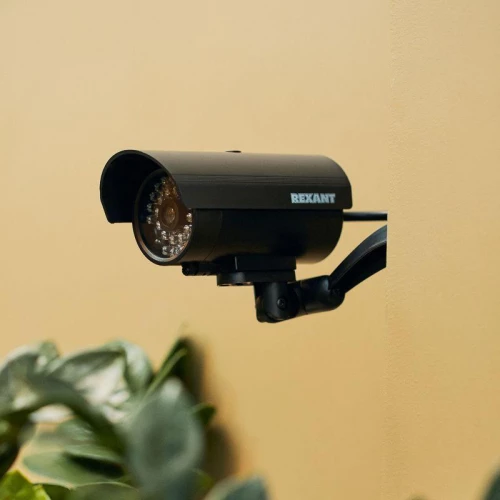 Муляж видеокамеры уличной установки RX-309 Rexant 45-0309 фото 2