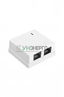 Розетка компьютерная 2-м ОП SB1-2-8P8C-C5e-WH RJ45 (8P8C) кат.5E Dual IDC Hyperline 430234