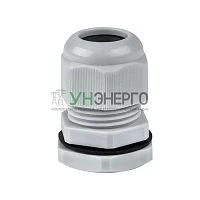 Сальник PG16 d10-14мм (d отверст. 21мм) IP54 PROxima EKF plc-pg-16-r Сальник PG16 d10-14мм (d отверст. 21мм) IP54 PROxima EKF plc-pg-16-r