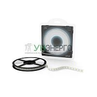 Лента светодиодная Black 2835/120-SMD 6.5Вт/м 5000К холод. бел. IP20 600лм/м 24В (блист.5м) GAUSS 312000265 Лента светодиодная Black 2835/120-SMD 6.5Вт/м 5000К холод. бел. IP20 600лм/м 24В (блист.5м) GAUSS 312000265