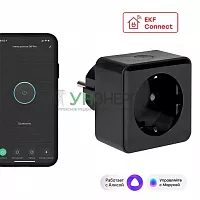 Розетка умная Wi-Fi PRO 1-м 16А IP20 черн. Connect EKF RCS-2-WF