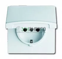 Розетка 1-м СП Allwetter44 20 EUGK-32-101 16А IP44 250В Schuko с крышкой уплотнит. кольцо сл. кость ABB 2CKA002064A0287