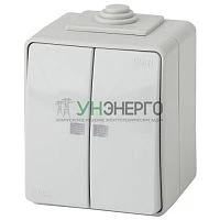 Выключатель 2-кл. ОП Эра Эксперт 10А IP65 11-1605-03 250В 10AX с подсветкой сер. Эра Б0035977