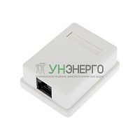 Розетка компьютерная 1-м ОП RJ45 (8P8C) кат.6 UTP неэкранир. Rexant 03-0132