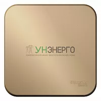 Выключатель 1-кл. ОП Blanca 10А IP20 (сх. 1) 250В с изолир. пластиной титан SE BLNVA101014