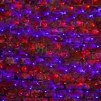 Гирлянда светодиодная "Сеть" 2.5х2.5м 432LED красн./син. 26Вт 220-240В IP65 провод ПВХ черн. Neon-Night 215-033 Гирлянда светодиодная "Сеть" 2.5х2.5м 432LED красн./син. 26Вт 220-240В IP65 провод ПВХ черн. Neon-Night 215-033