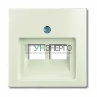 Плата информ. роз. 2п. Basic сл. кость ABB 2CKA001753A0097