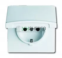 Розетка 1-м СП Allwetter44 20 EUGK-34-101-500 16А IP44 250В Schuko с крышкой уплотнит. кольцо альп. бел. ABB 2CKA002064A0310