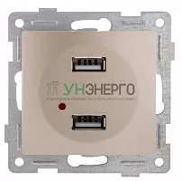 Механизм розетки USB 2-местн. СП Bravo шампань GUSI С10USB2-027