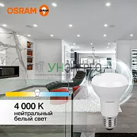 Лампа светодиодная LED Value LV R63 60 8SW/840 8Вт рефлектор матовая E27 230В 10х1 RU OSRAM 4058075581913