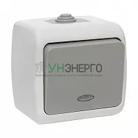 Выключатель 1-кл. ОП Мурманск 10А IP54 с индикатором сер. EKF EFV10-121-30-54 Выключатель 1-кл. ОП Мурманск 10А IP54 с индикатором сер. EKF EFV10-121-30-54