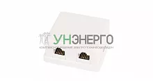 Розетка компьютерная 2-м ОП RJ45 (8P8C) кат.5E неэкранир. класс D 100МГц 110 T568A/B бел. (уп.10шт) NETLAN EC-UWO-2-UD2-WT-10