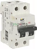 Выключатель автоматический модульный 2п B 6А M06N ARMAT IEK AR-M06N-2-B006